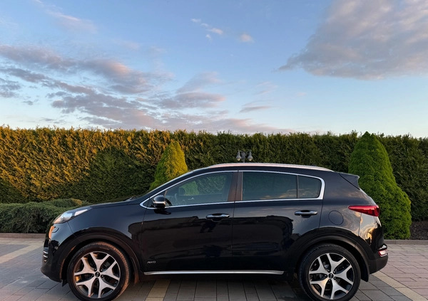 Kia Sportage cena 78900 przebieg: 185000, rok produkcji 2017 z Rzeszów małe 191